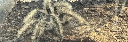 𝕛ε𝓂!𝓂⋆❣ banner