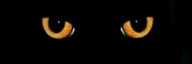 𝐁𝐋𝐀𝐐𝐒𝐓𝐀𝐍™ banner