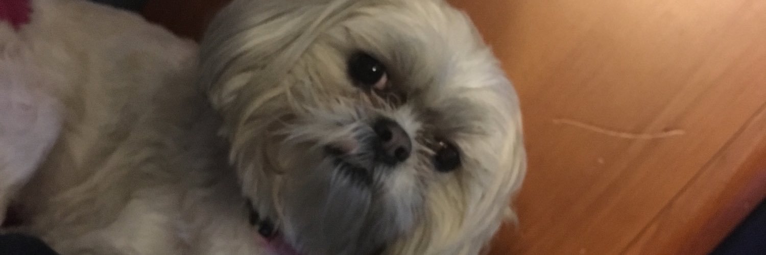 annoyancefactor's profile banner image