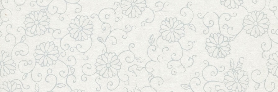 𝚁𝚒𝚗 banner