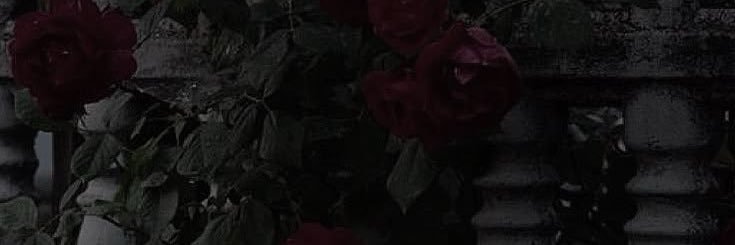 Princess Alicia 🥀 banner
