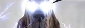 psi_evil's profile banner image