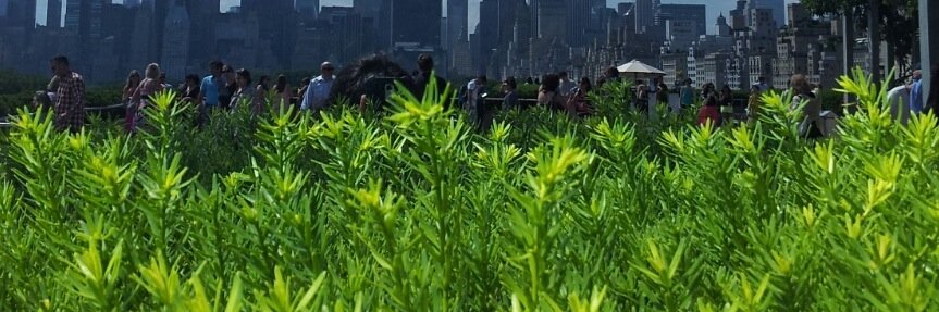 HumanityIsUs's profile banner image