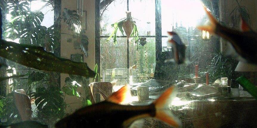 Georgia Bronte banner