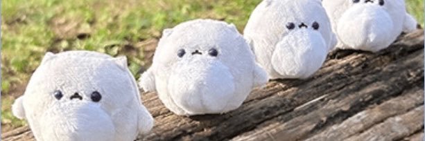 Hi_s_iH's profile banner image