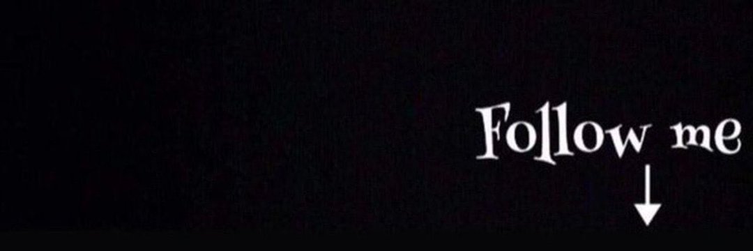 zyn banner