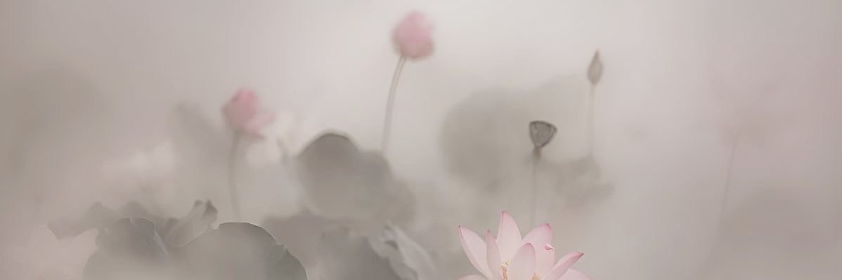 🪽 banner