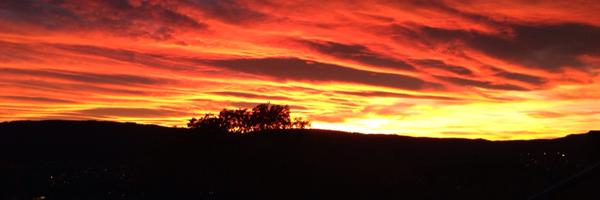 ebaxt Profile Banner