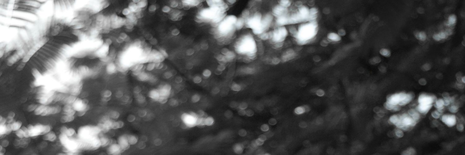 ramon80_'s profile banner image