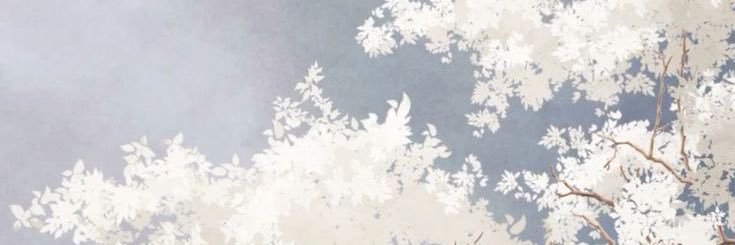 シロ。 banner