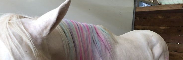 crystalbulletsx's profile banner image