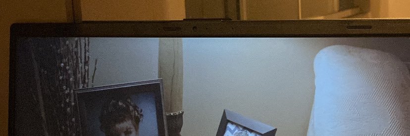 fernanda banner