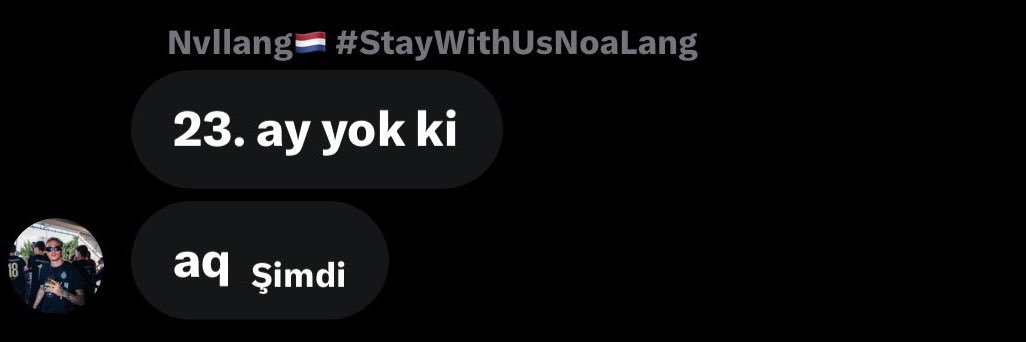 Nvllang🇳🇱 #StayWithUsNoaLang banner