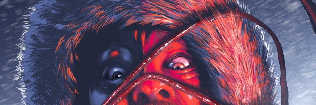 PickleVision's profile banner image