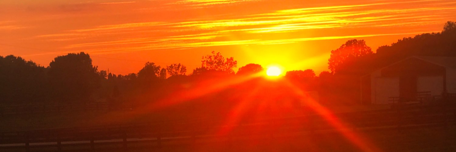 erickaLucci's profile banner image