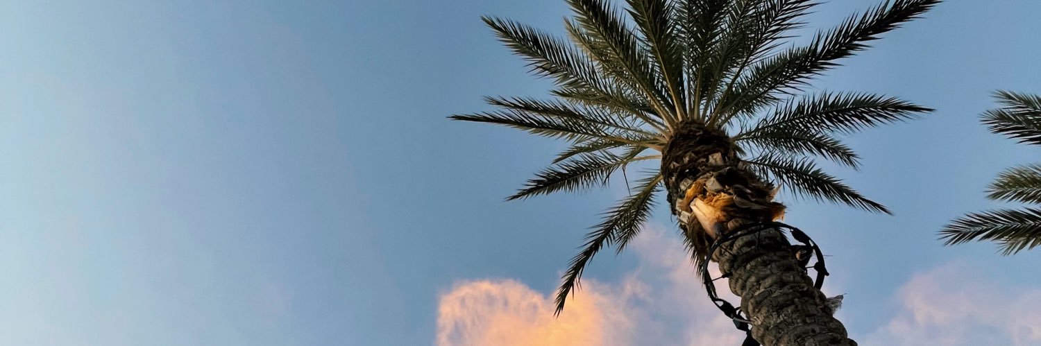 calidreamboi's profile banner image