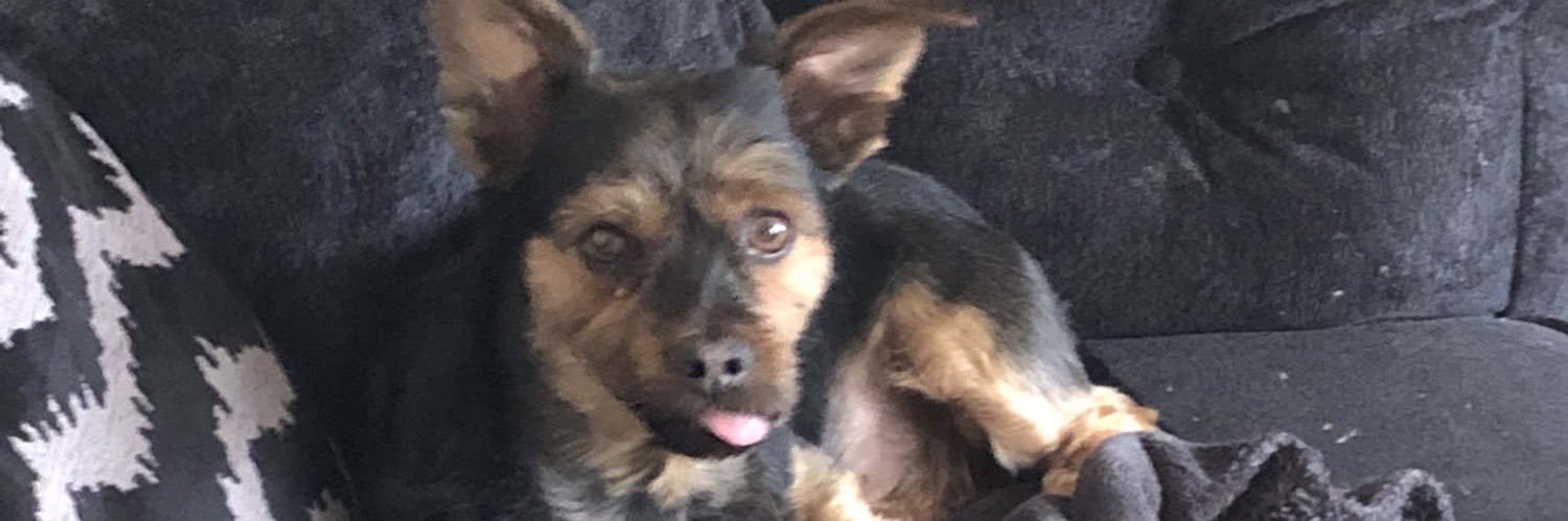 RachelAbbotts's profile banner image