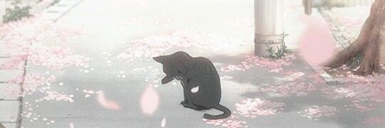 ⋆.˚🐣⋆ eira banner