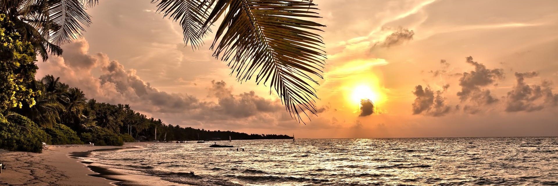 Mlle_Div's profile banner image