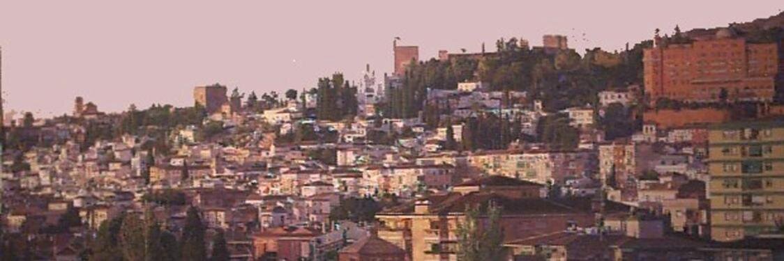 el_garnati's profile banner image