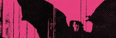 ★♡☆ ¿❕! 𝗅͟ǝx𝘆𝘳𝘦𝗍h ५ ˶×ᜊ× ⍝ banner