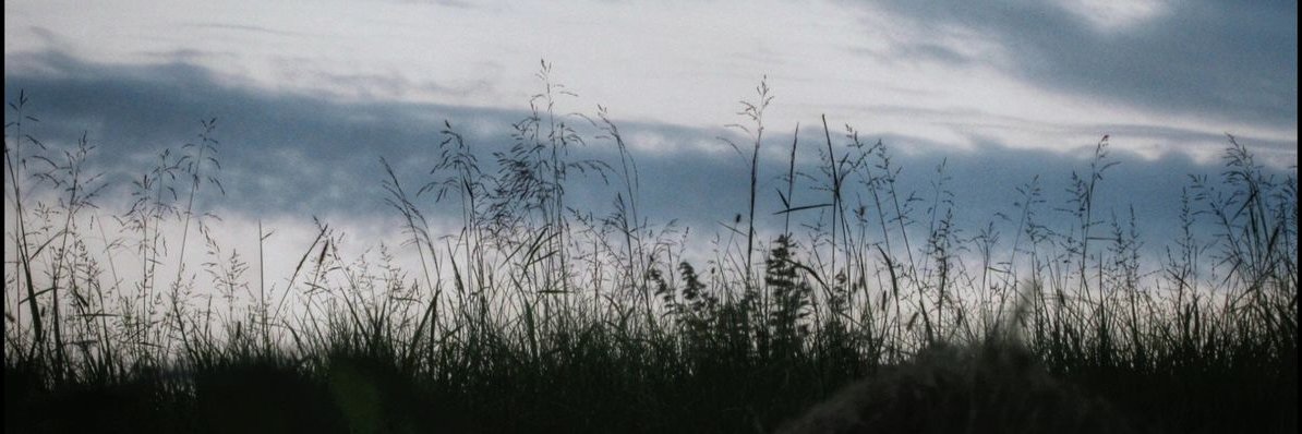 sad banner