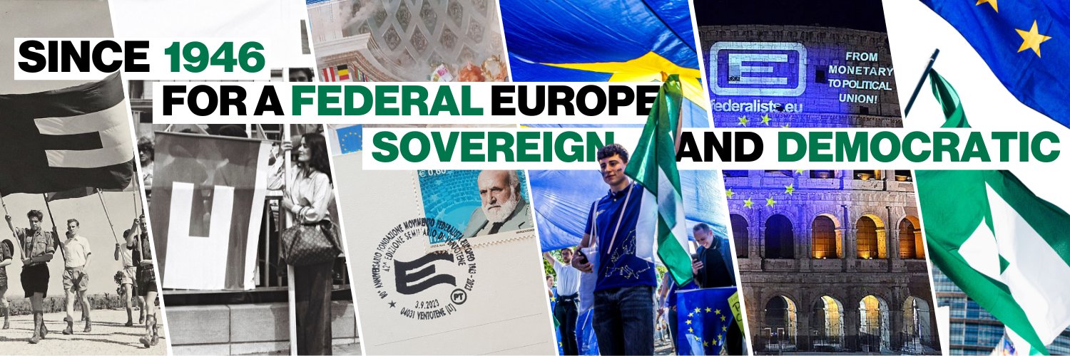 European Federalists's banner
