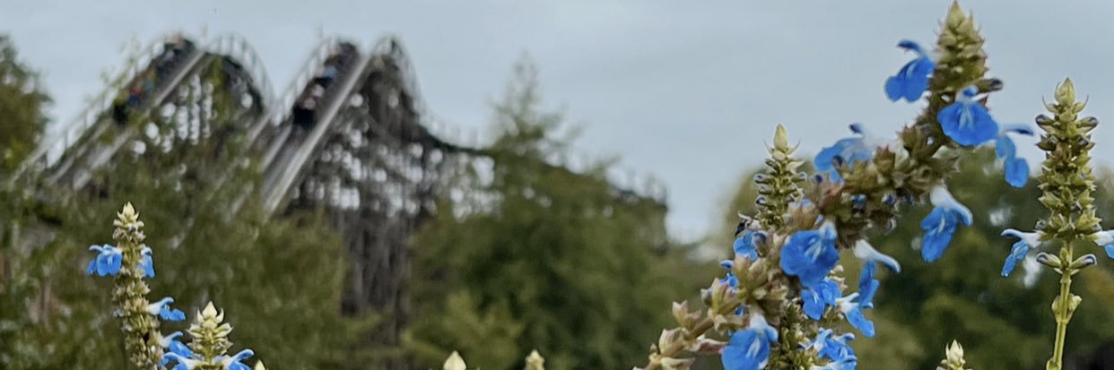 Ginger Freckled Girl🦇 banner