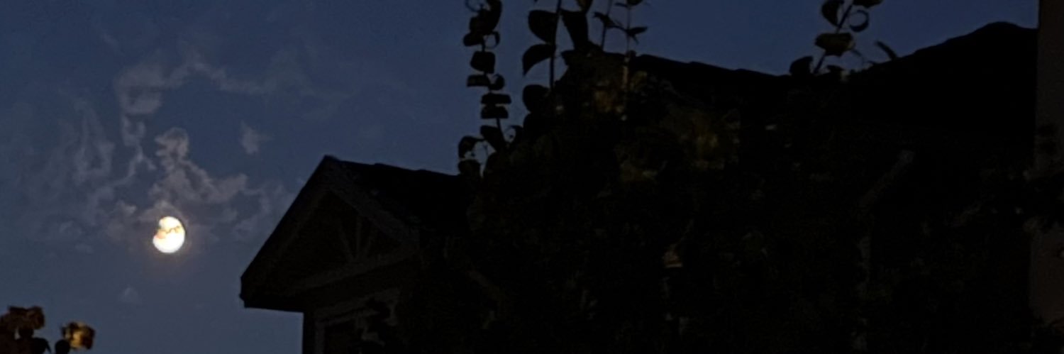 danielkylinray's profile banner image