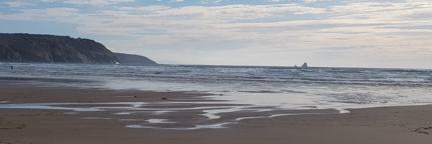 Cosyfluffysocks's profile banner image