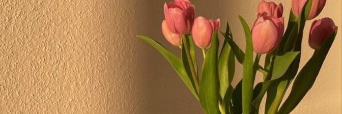 wardajda's profile banner image