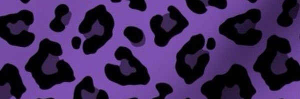 cecewbm banner