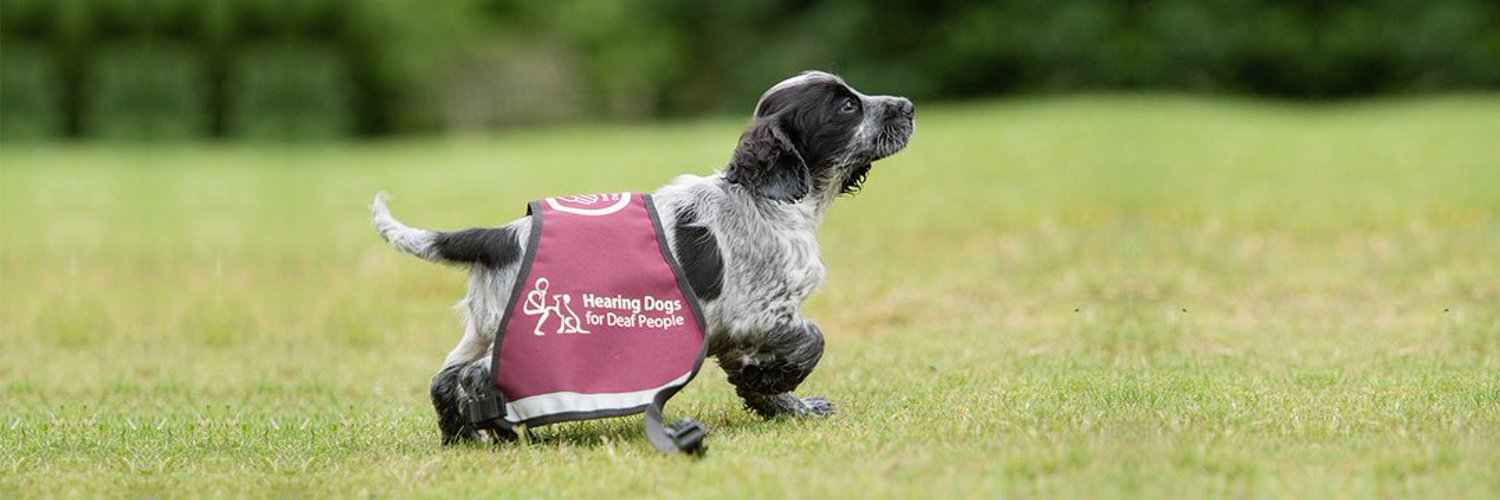 Hearing Dogs for Deaf People Profile Banner