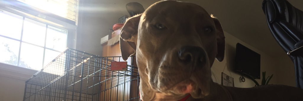 Sammmmm_guttt's profile banner image