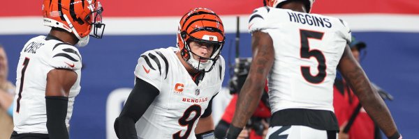 BrianCinBengals Profile Banner