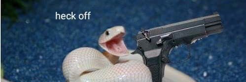 Snake banner