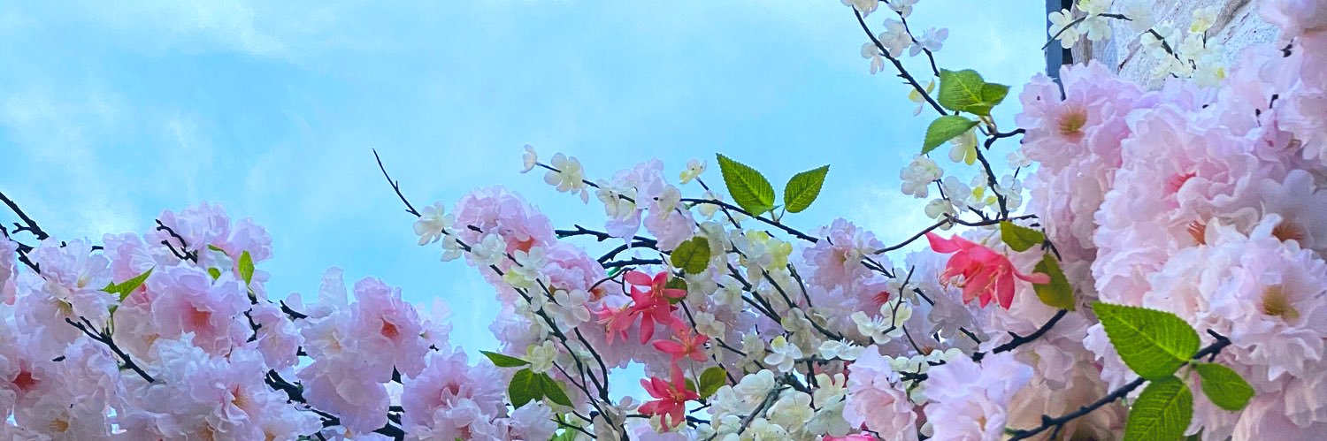 Sammerhead's profile banner image