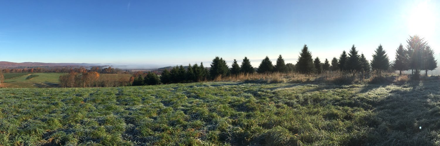 Beth Ann Bossio banner