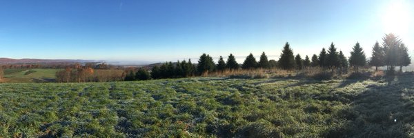 BaBossio Profile Banner