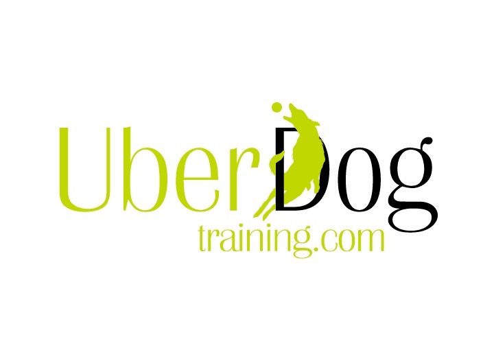 UberdogTraining's profile banner image