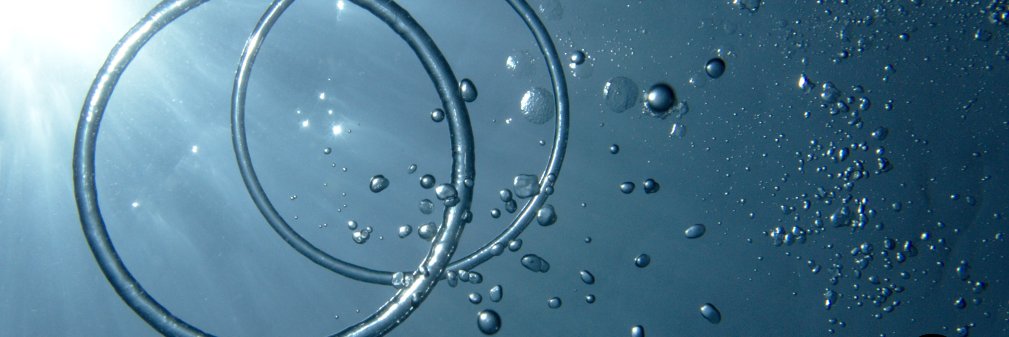wefreedive's profile banner image