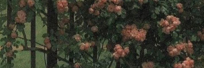 Zenbuttdd's profile banner image