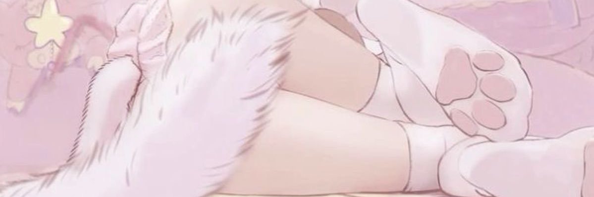 Kitty banner