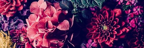 1Adnerb23's profile banner image