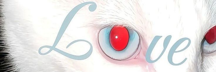 JigglyBuffed banner