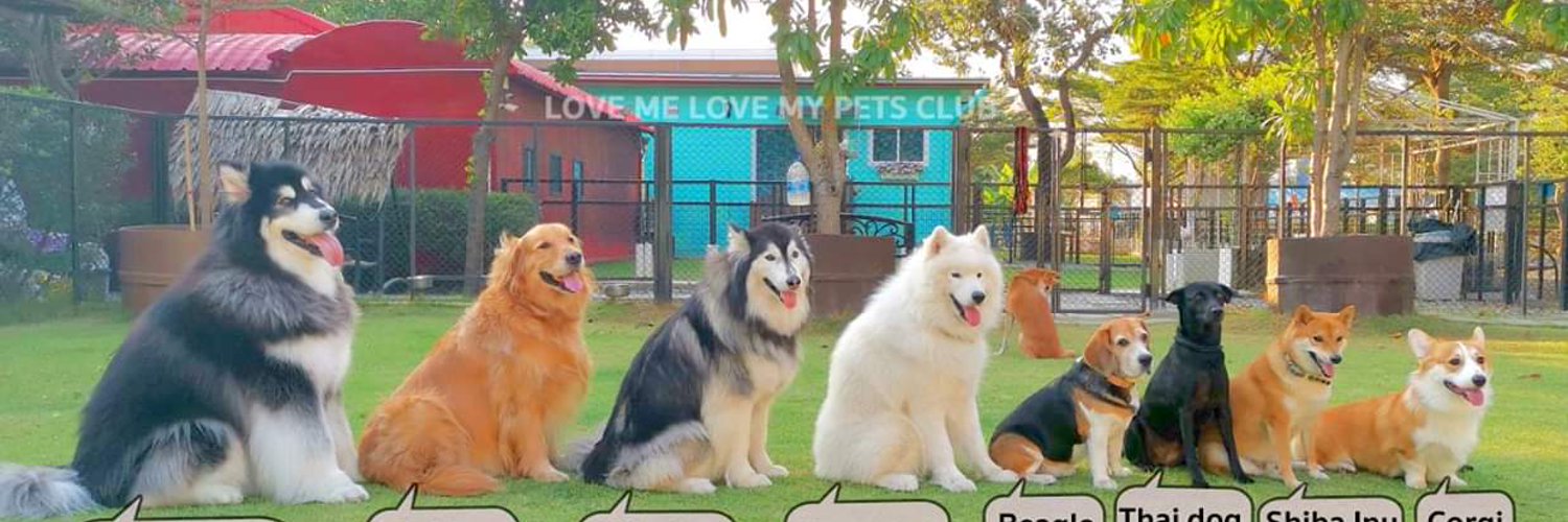2pmmppm's profile banner image