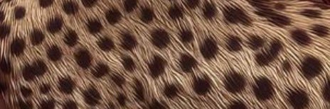 𝙻𝚊𝚖𝚊 banner