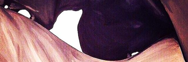 BronzeBeautii21's profile banner image