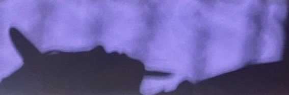 新品の朝霧 banner