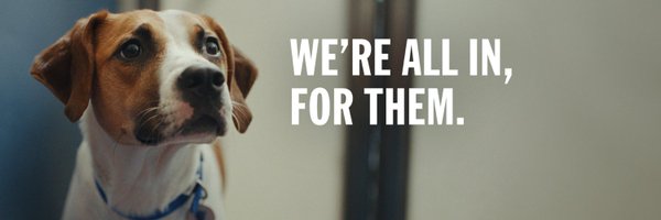 Battersea_ Profile Banner